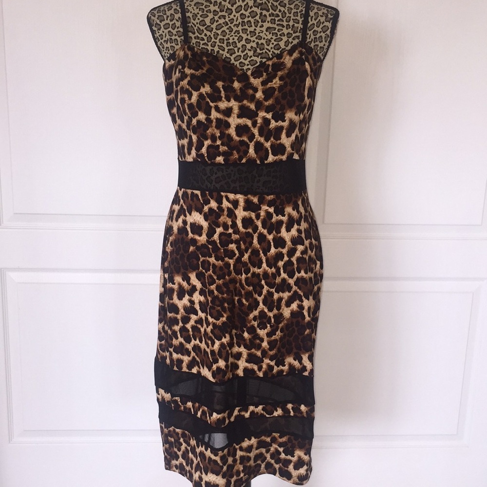 Stilletto’s- tea-length dress w/ sheer panels